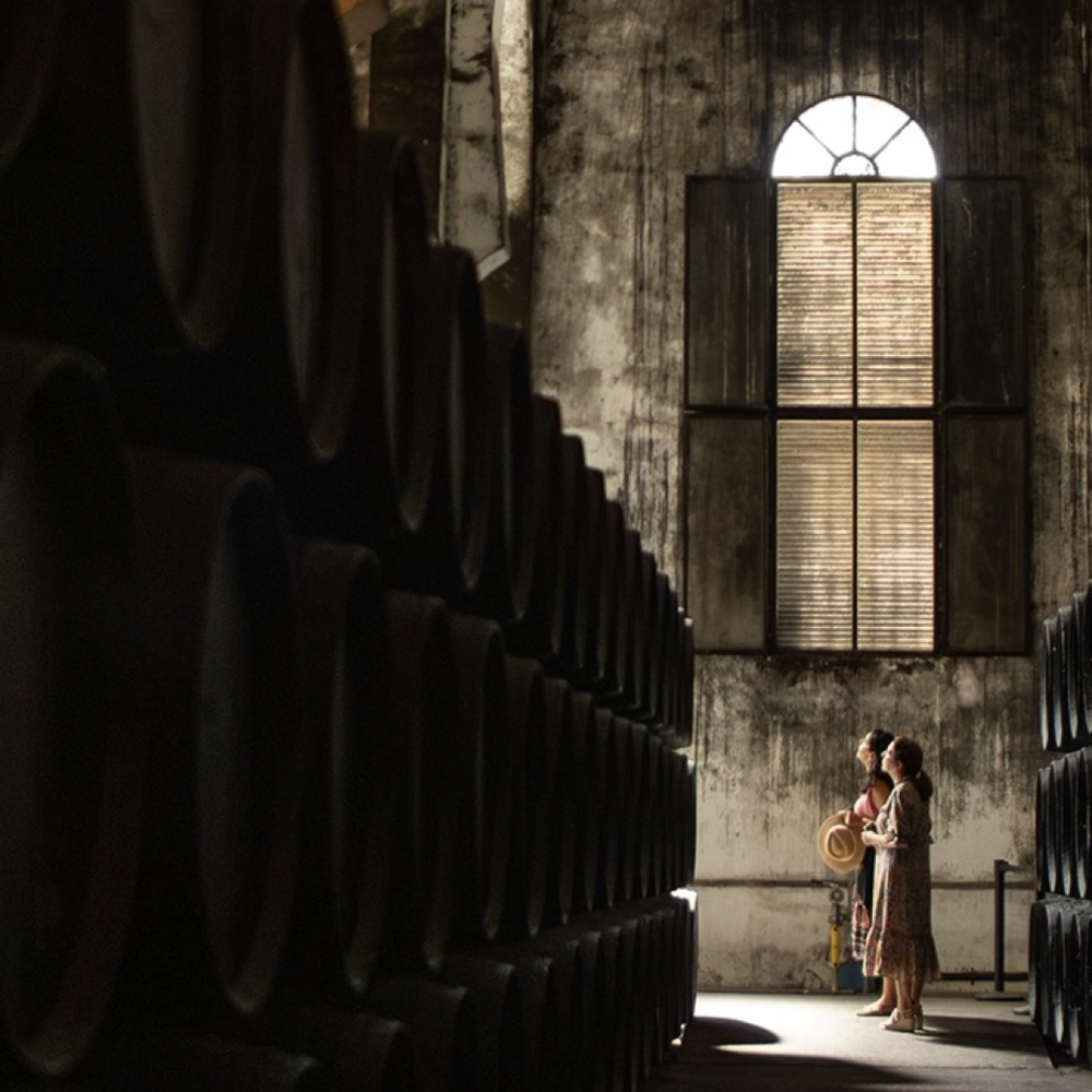 BiglittleJourneys_FOTOS.004