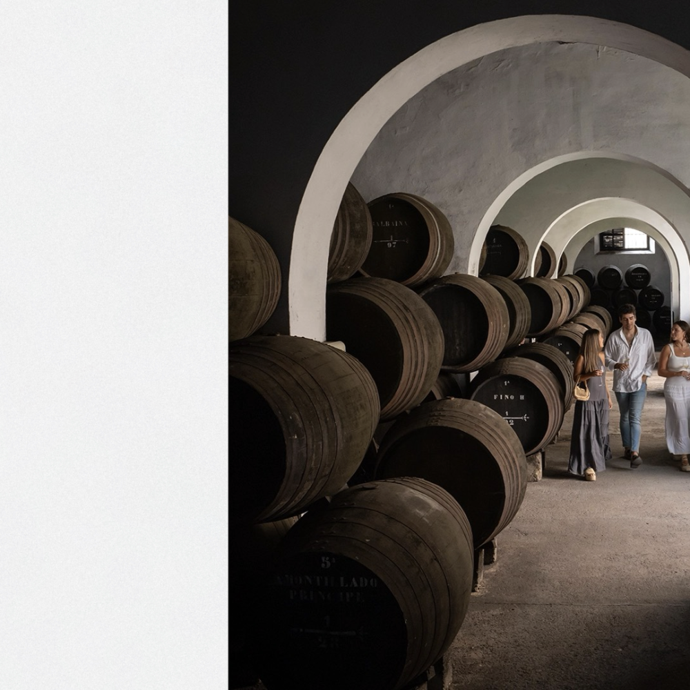 BiglittleJourneys_FOTOS.008