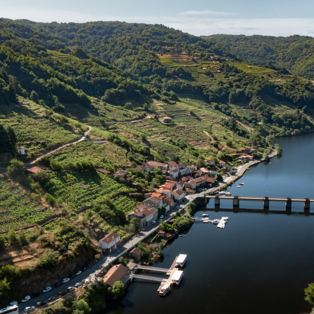 FMRE_GENERALES_RIBEIRA_SACRA_006_Dron1_R (1)